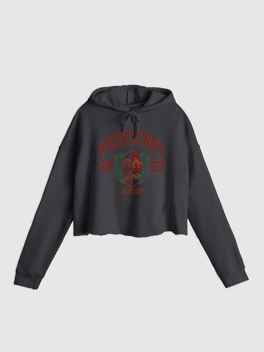 Wrestlewave Academy Varsity Hoodie Cropped product image (1)