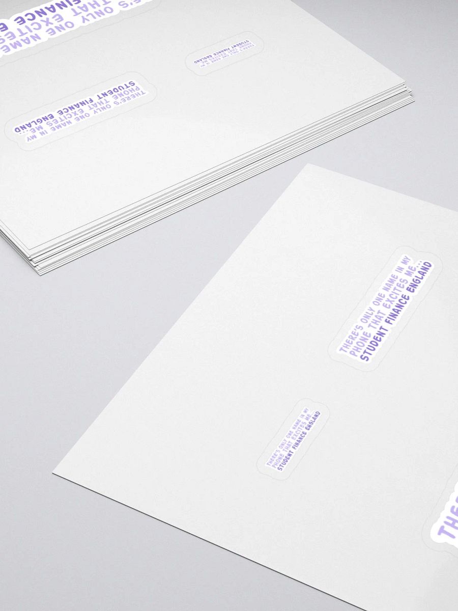 Student Finance Sticker product image (4)