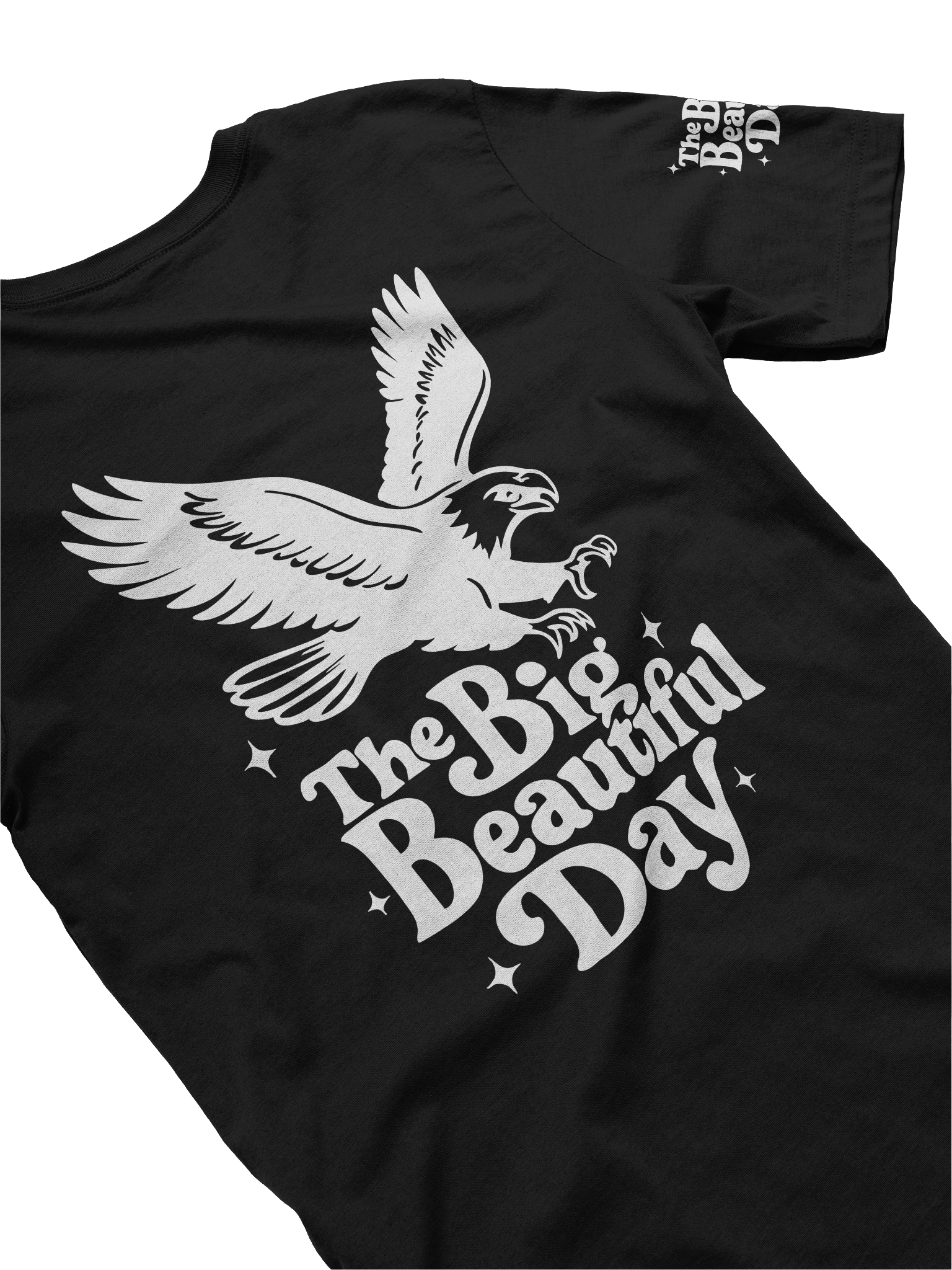 Soaring Big Beautiful Day Tee | Bella+Canvas product image (4)