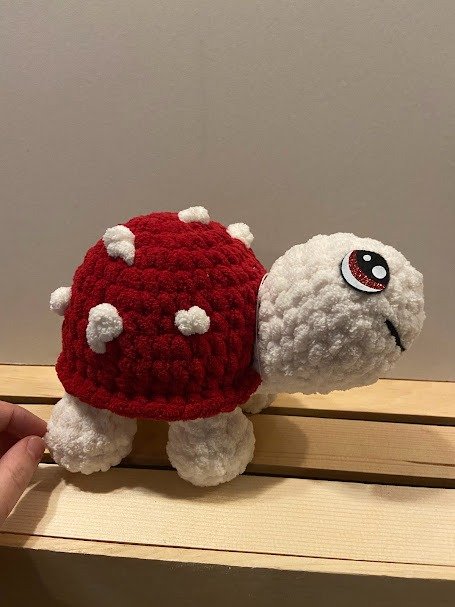 Box Turtle product image (3)