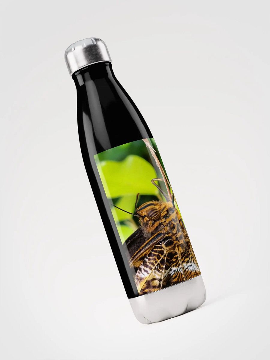 Closeup Tropical Butterfly Stainless Steel Water Bottle product image (4)