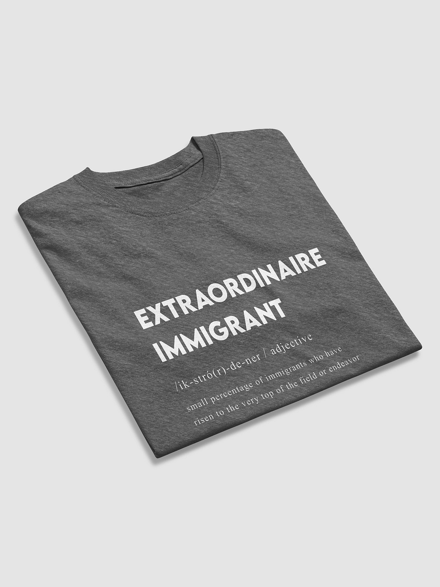 EXTRAORDINAIRE IMMIGRANT TSHIRT DARK HEATHER product image (3)
