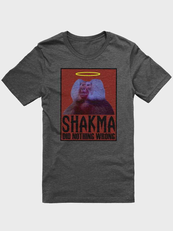 Shakma Did Nothing Wrong product image (15)