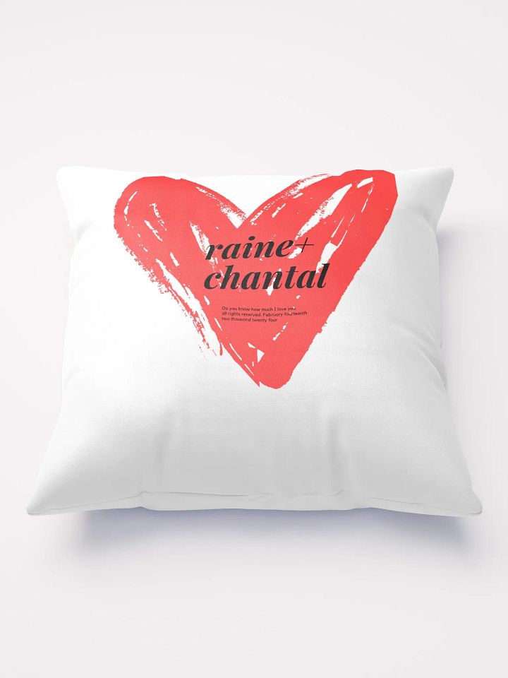 VDAY RAINE + CHANTAL SQUARE PILLOW product image (2)
