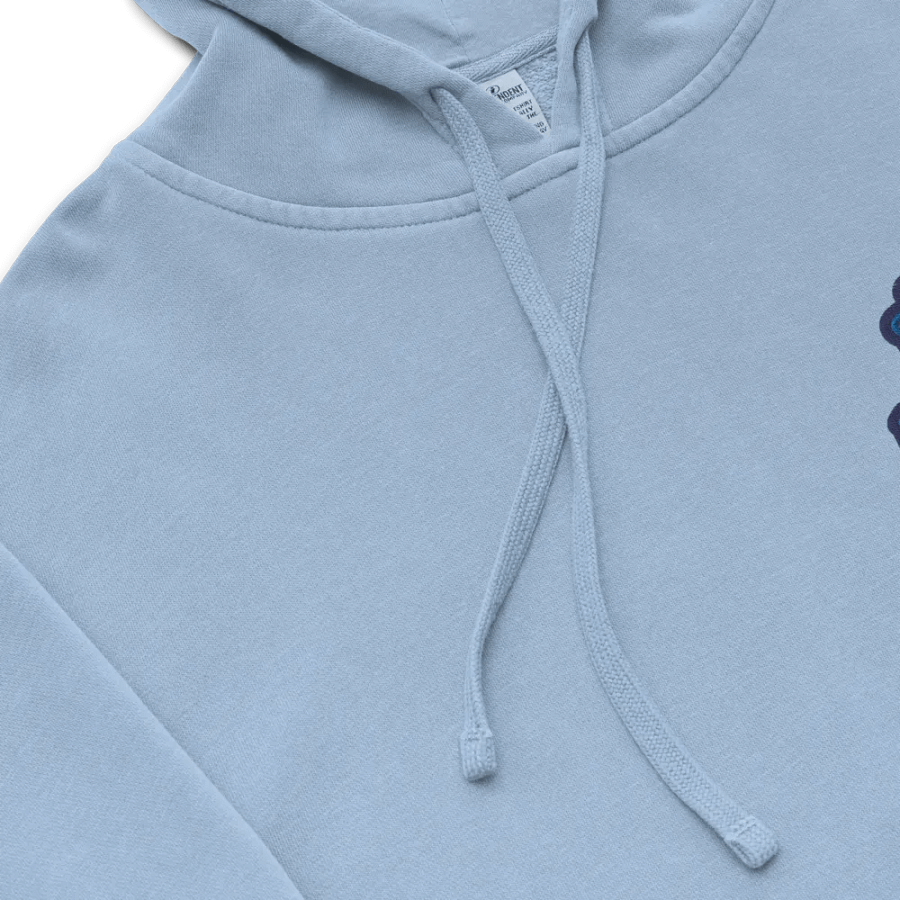 BUSY-BRAINED (L.C. lake design) embroidered pigment hoodie product image (8)