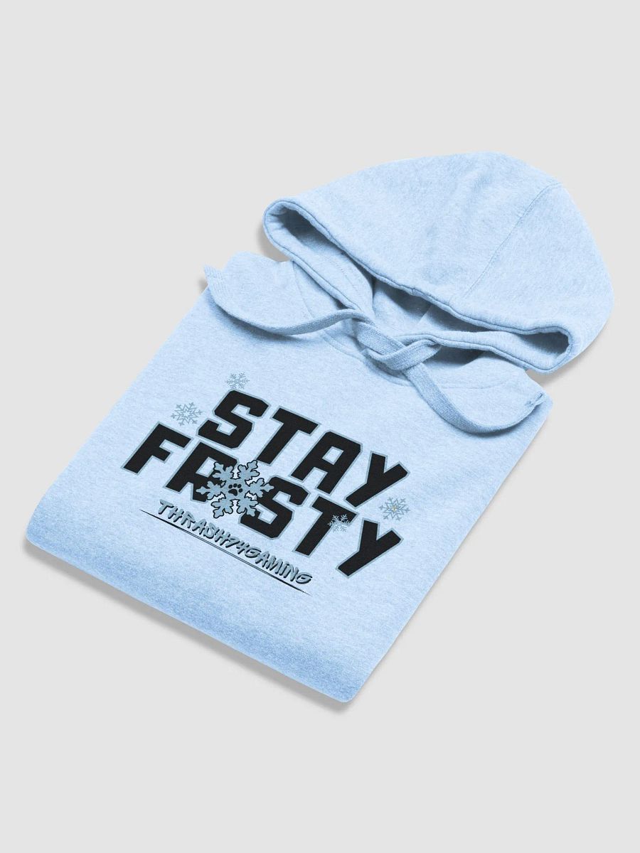 Stay Frosty Hoodie product image (5)