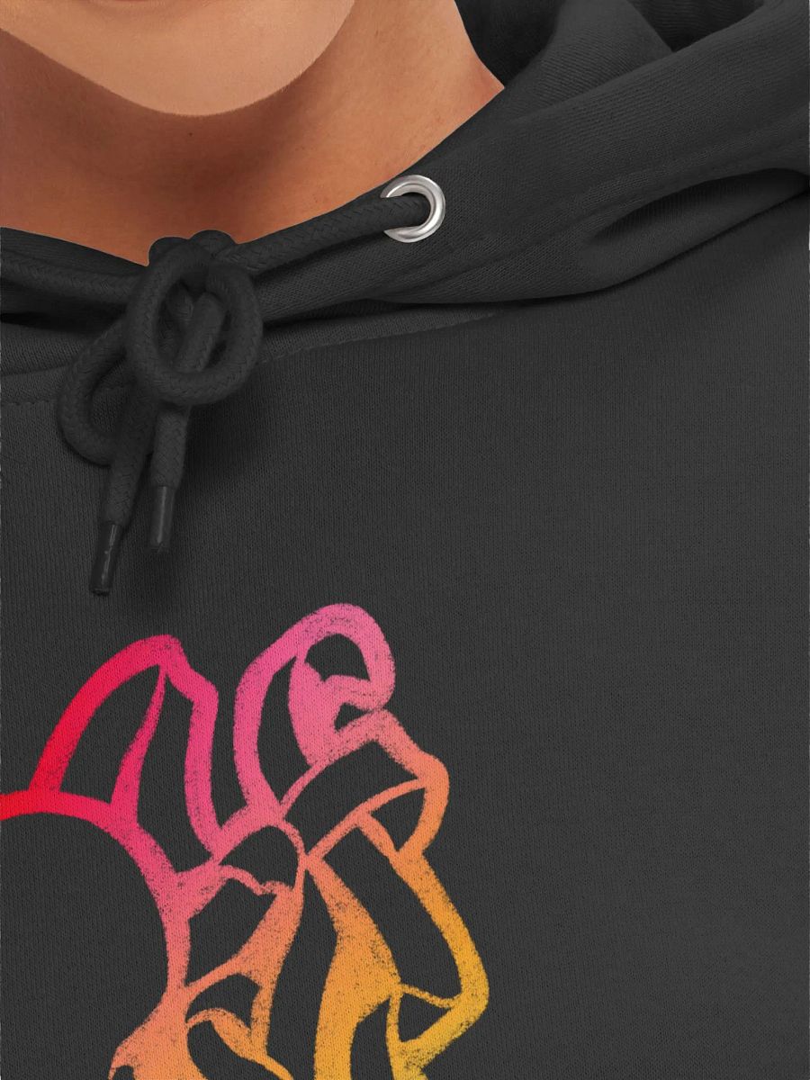 Rainbow Logo Premium Hoodie product image (39)