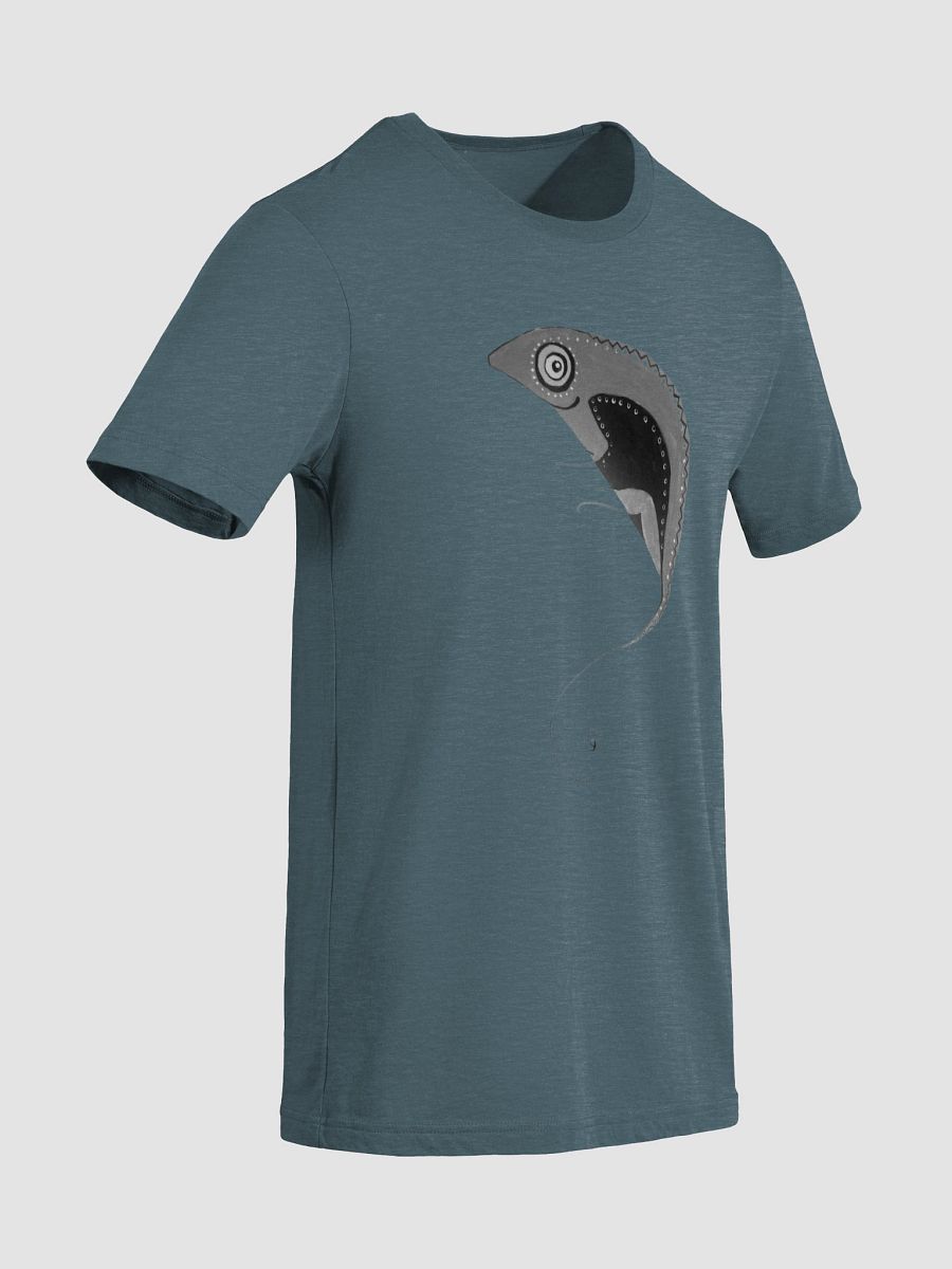 Chameleon Dreams - Tri-Blend Tee product image (60)