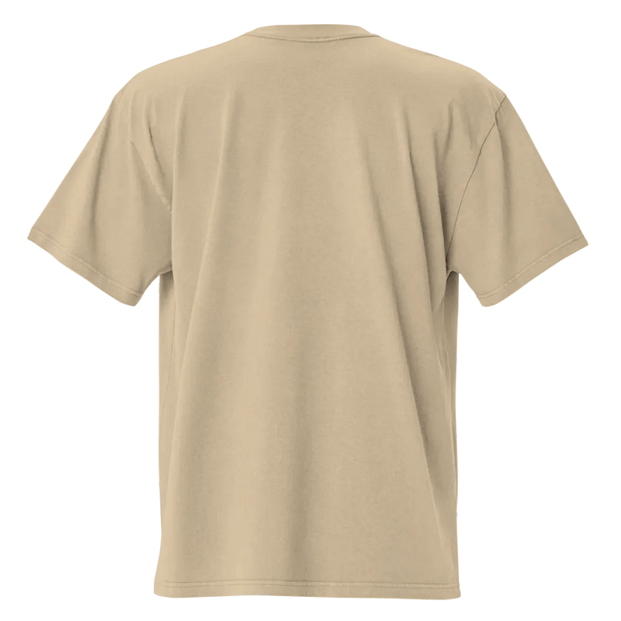 Fade Frame Oversized Tee product image (4)