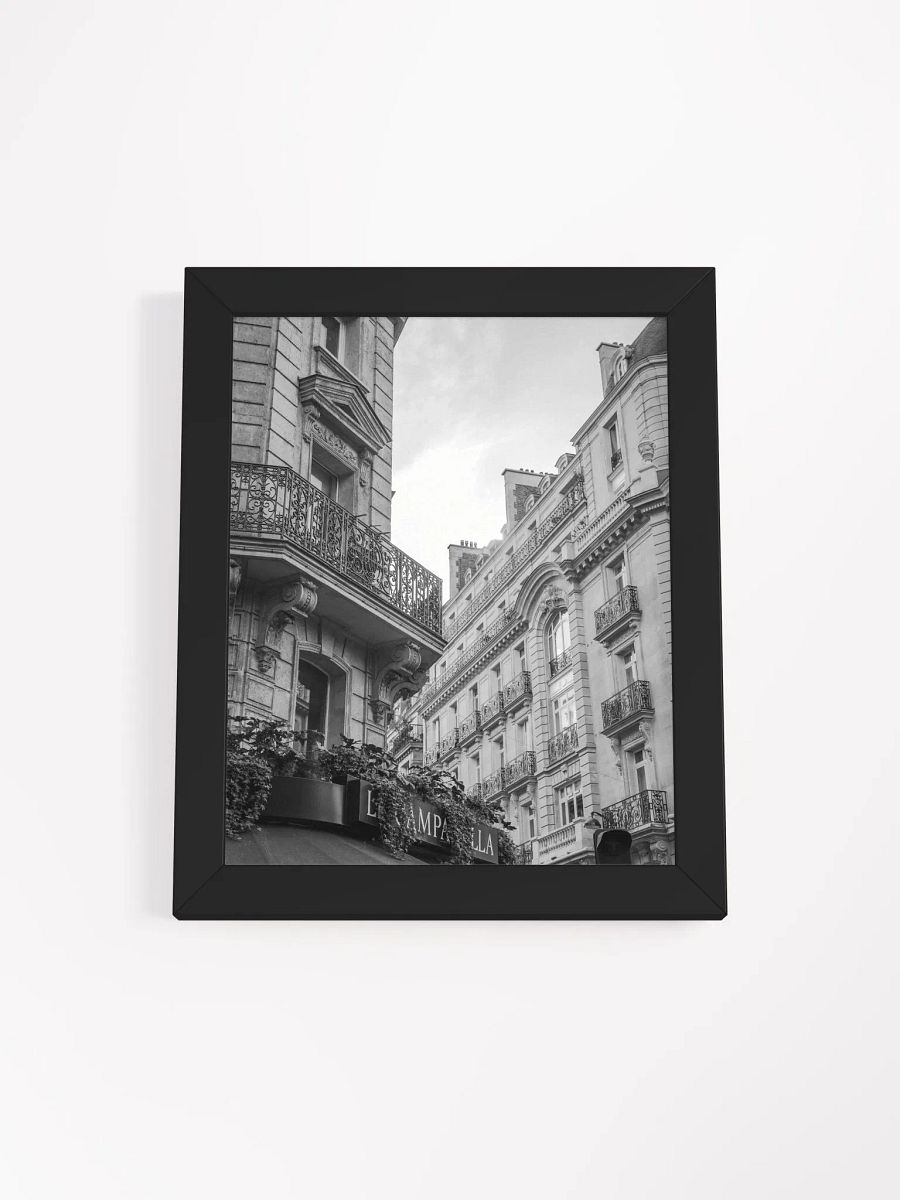 Haussmann Paris - Black & White product image (3)