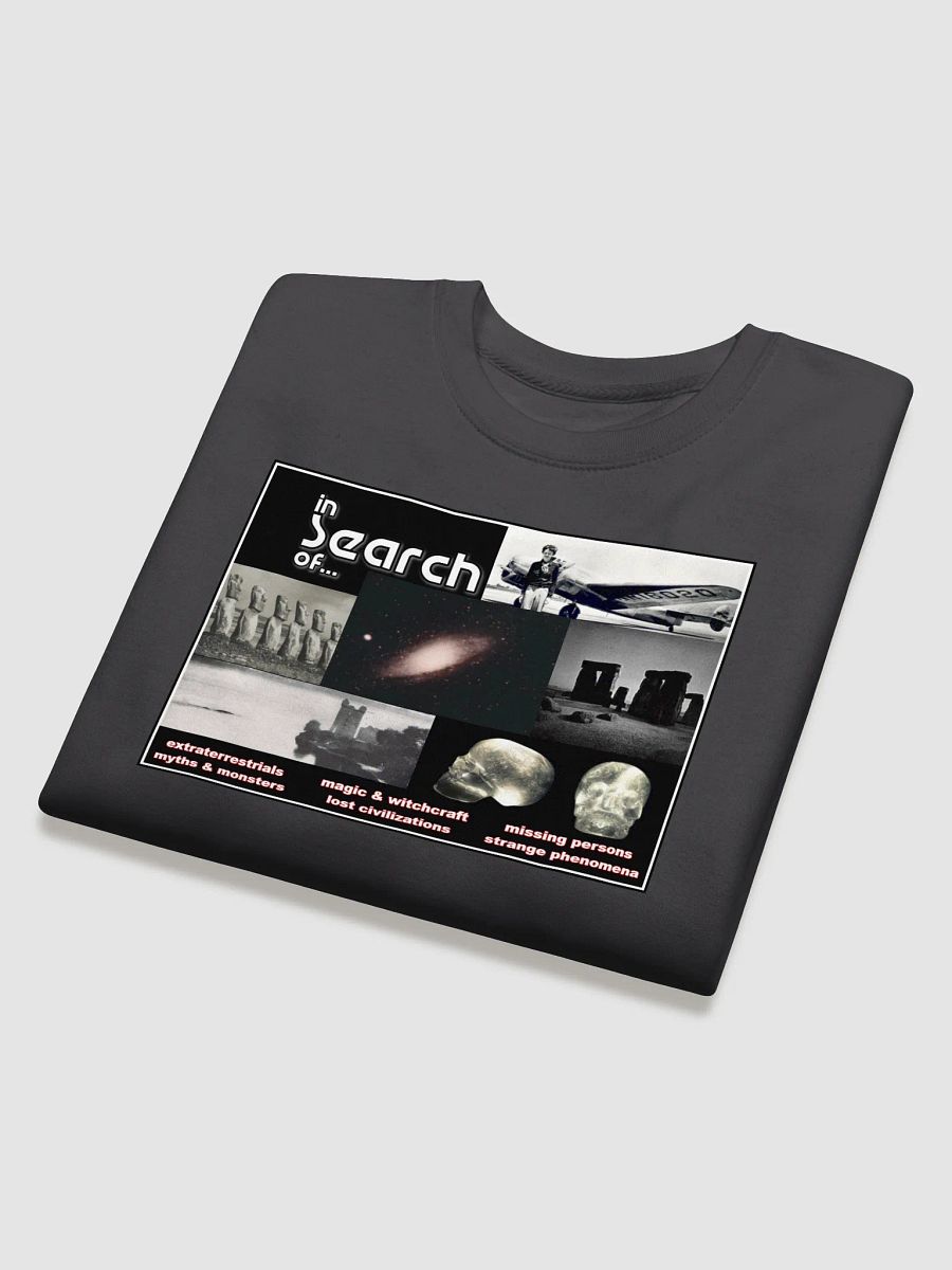 In Search of...Sweatshirt product image (4)