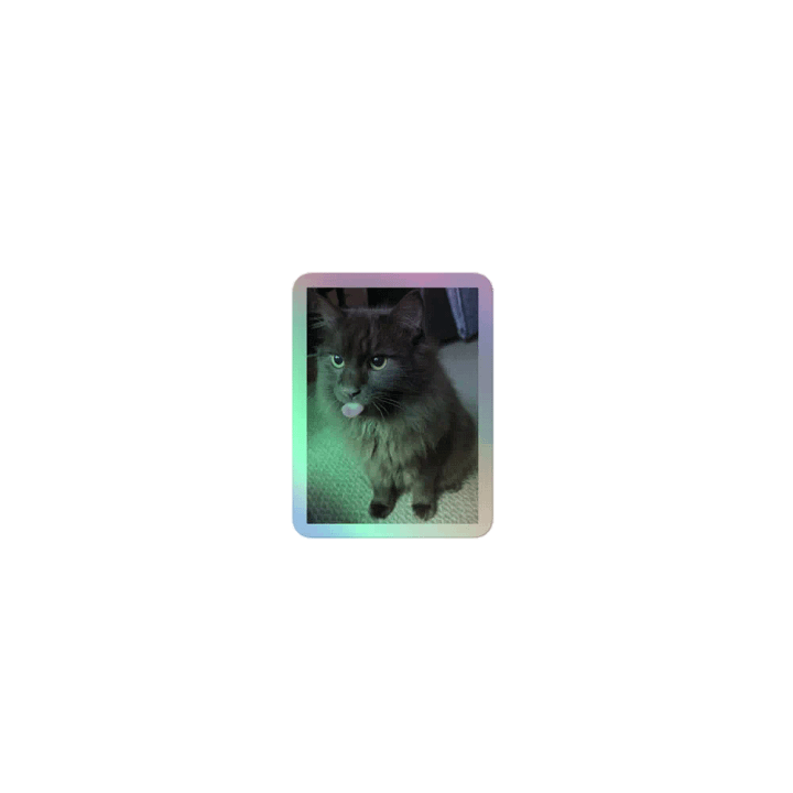 Quinny Boi boi product image (1)