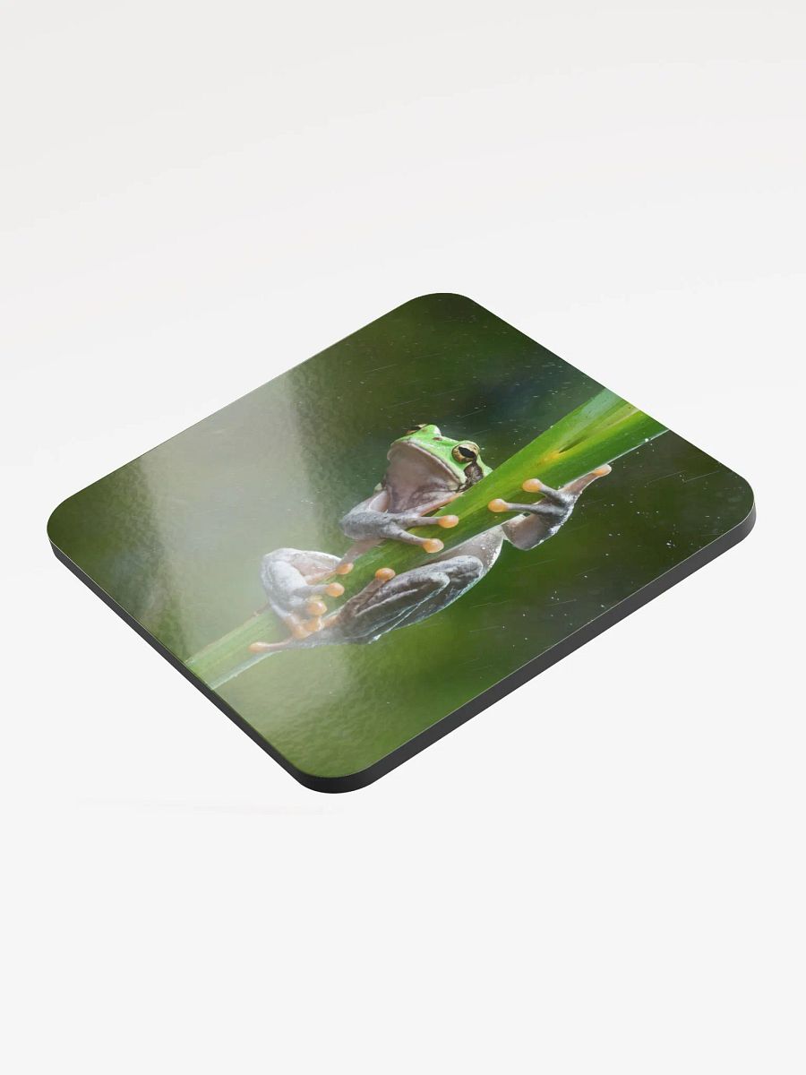 Tree Frog Coaster product image (3)