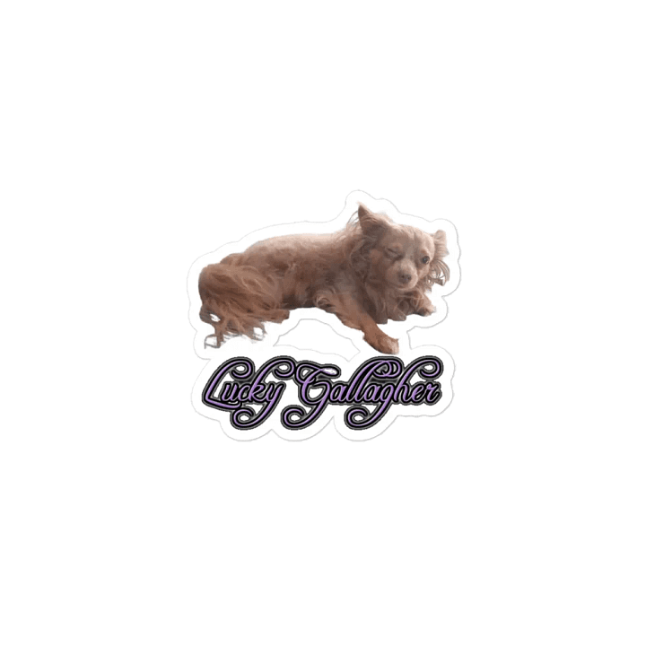 Lucky Magnet product image (1)