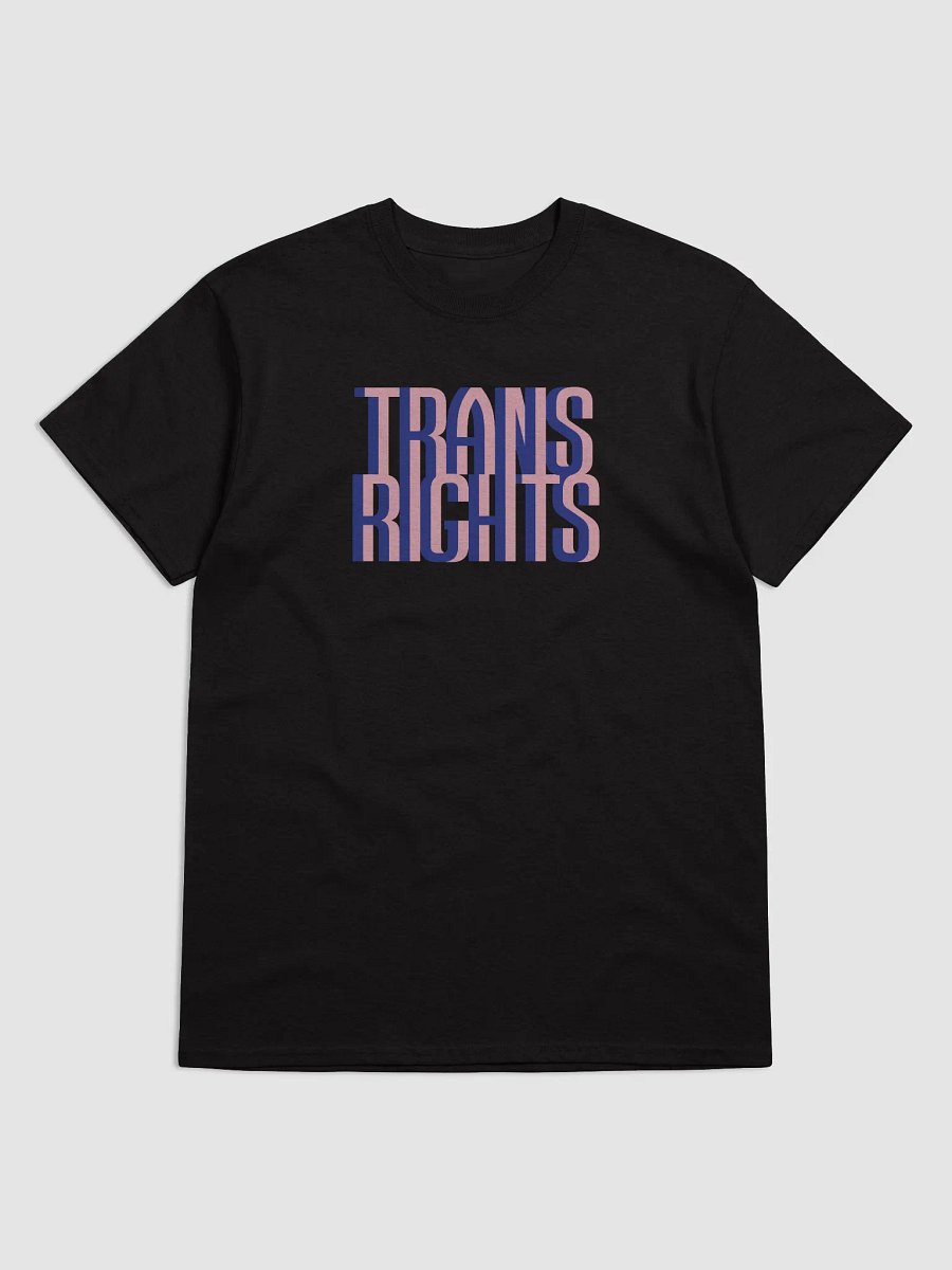 Trans Rights T-shirt product image (1)