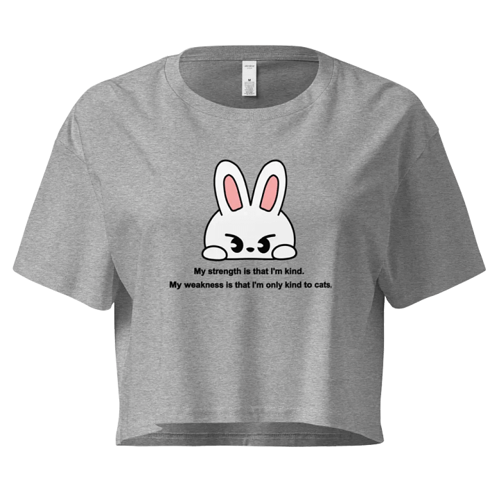 Lee Know Funny Quote Crop Top product image (1)