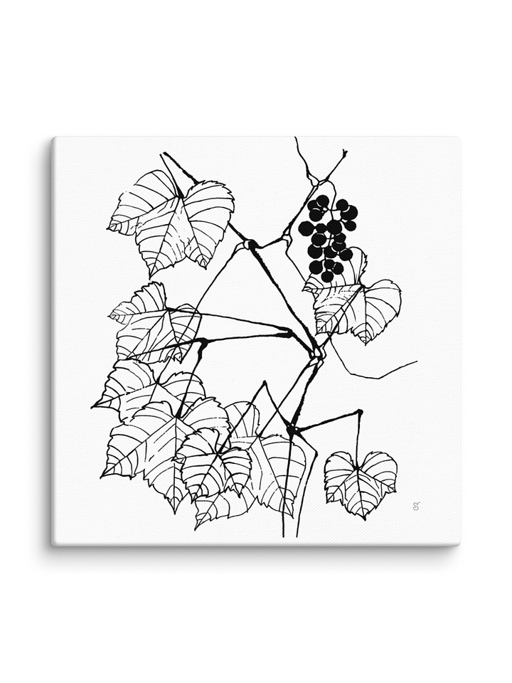 Vineyard Serenity Canvas - Fine Grape Leaves product image (2)