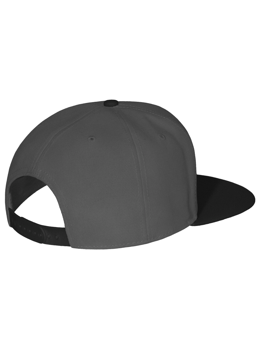 L2A Embroidered Snapback Hat product image (4)
