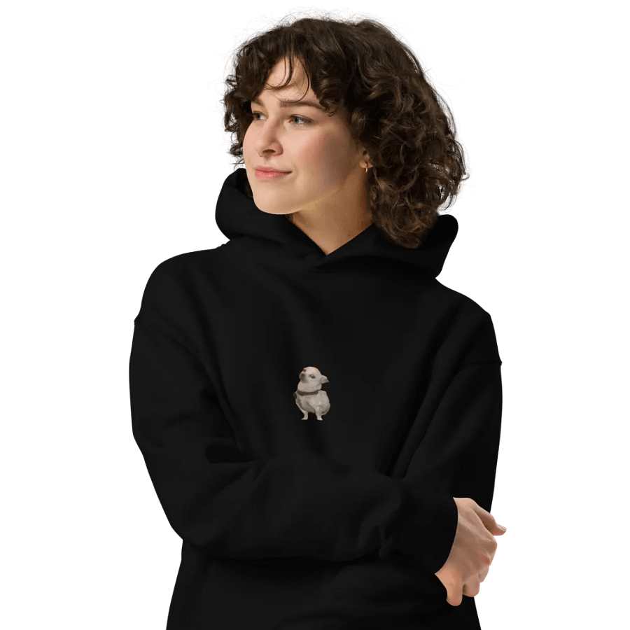 Archie Hoodie 2.0 product image (4)
