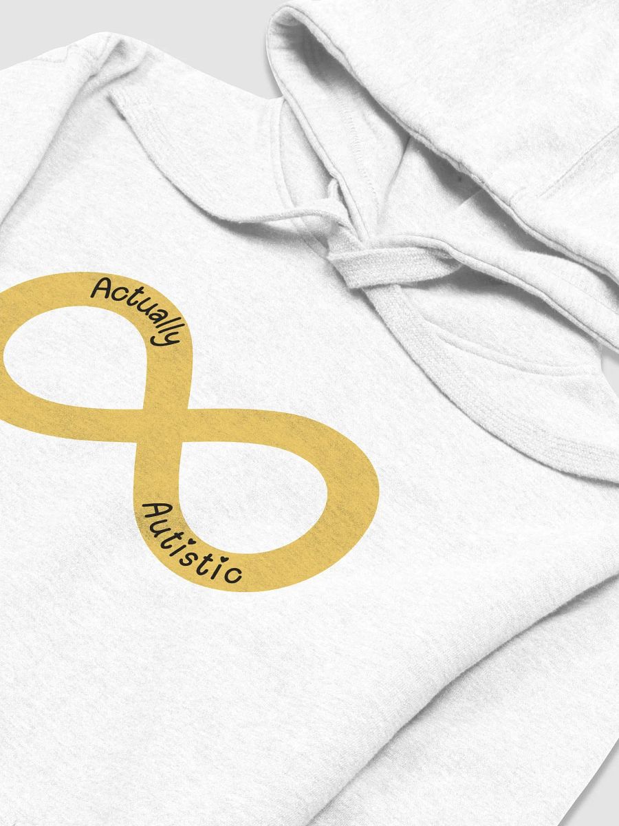 Autistic Pride Hoodie product image (3)