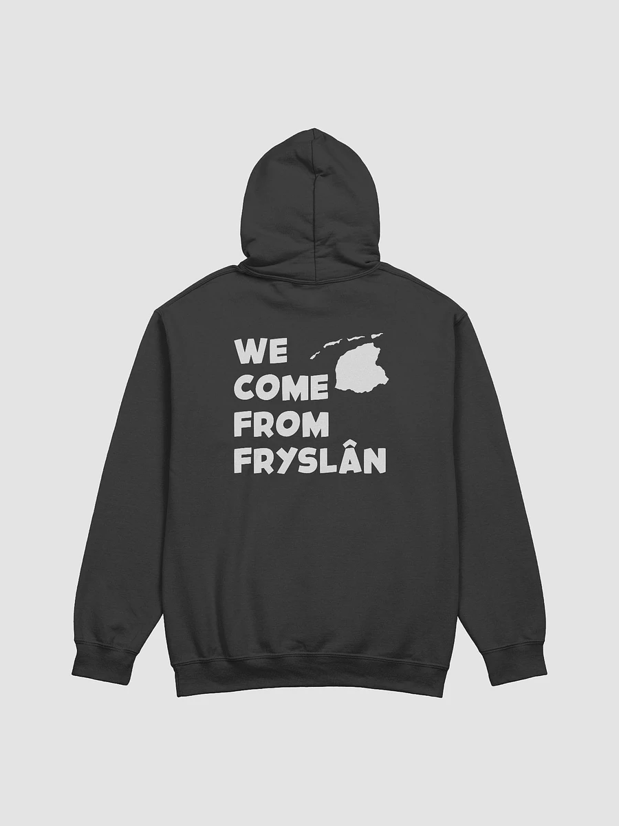 We Come From Fryslân - Hoodie product image (5)