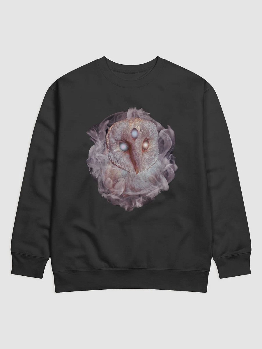 Omniscience Crewneck product image (3)