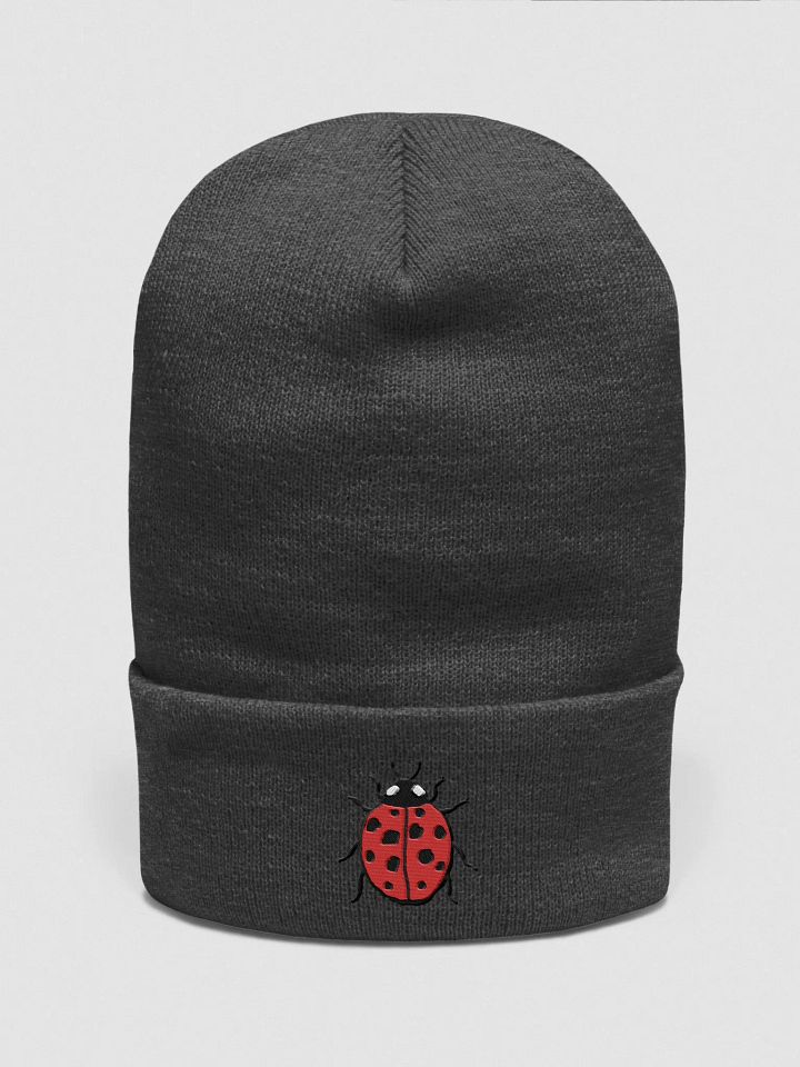 Ladybug Love Embroidered Cuffed Beanie product image (6)