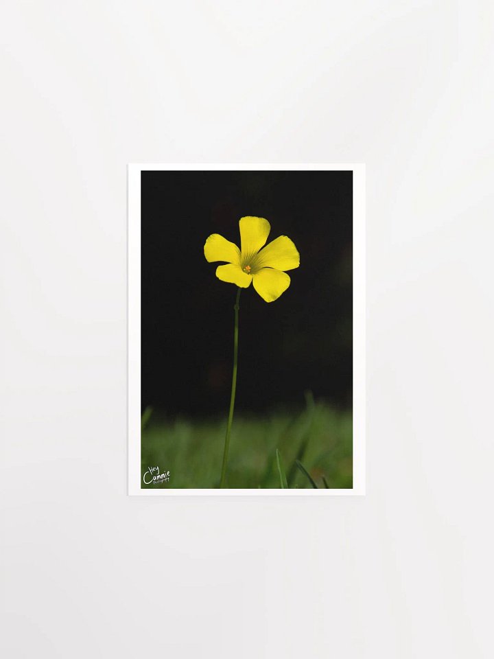 Life - Print product image (1)