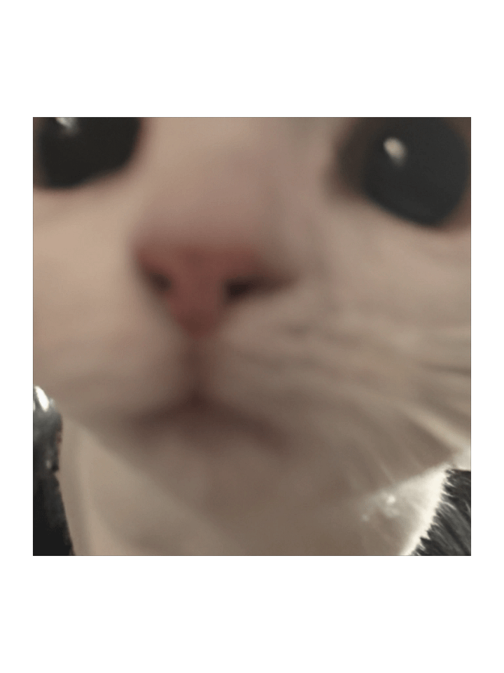 Emoji Catstare product image (1)