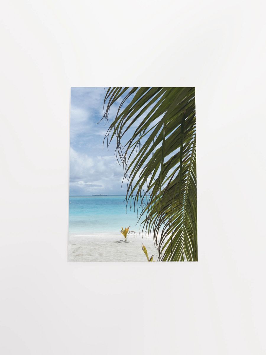Maldives palm - Enhanced Matte Paper Poster product image (4)