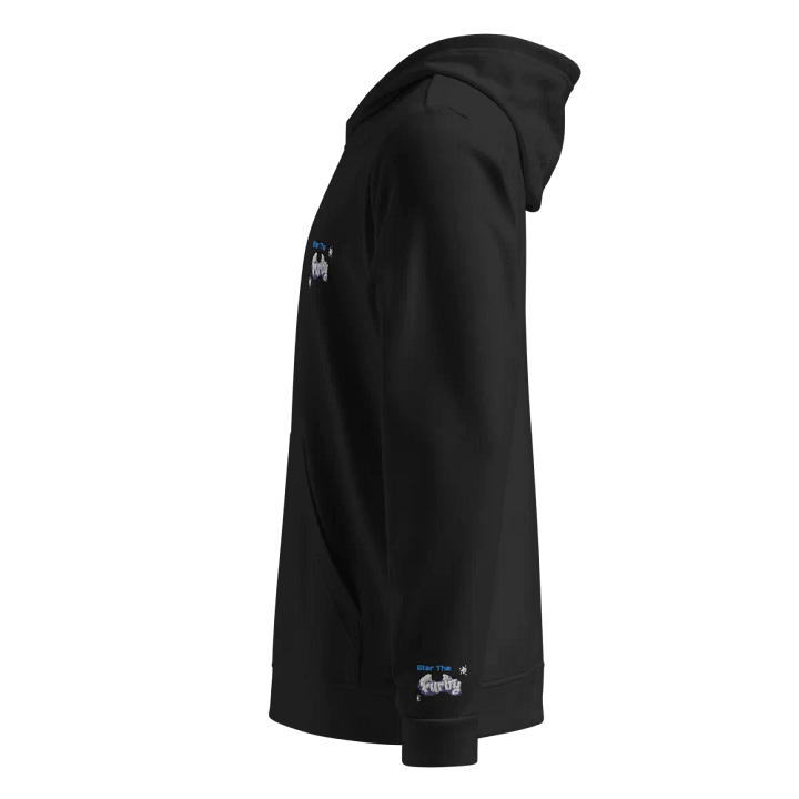 Stf hoodie product image (2)