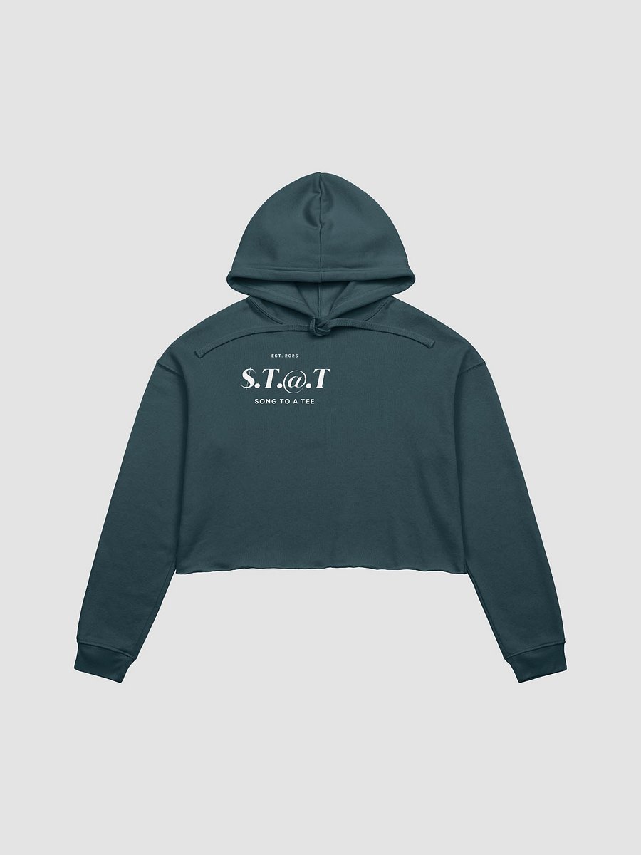 $.T.@.T - V!B3 CH£CK P@SSED Crop Hoodie product image (3)