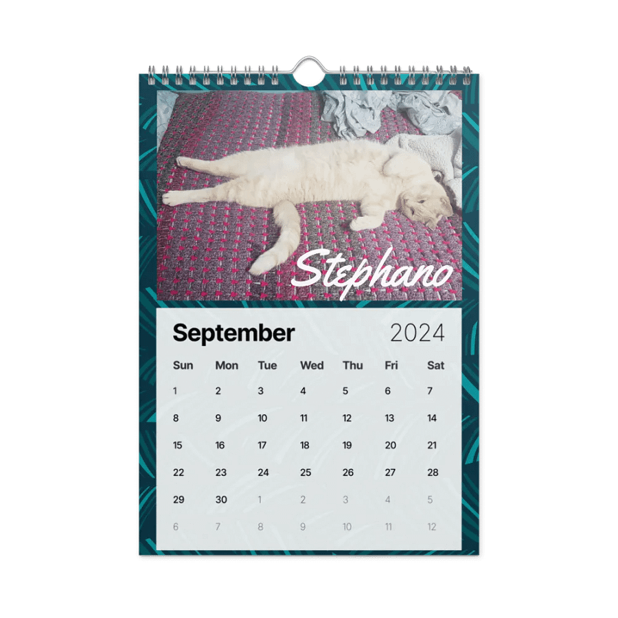 Oh, OK Community Pet Calendar product image (10)