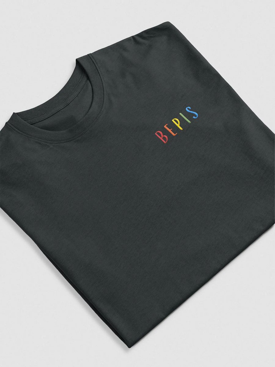 Bepis Embroidered Heavyweight Tee product image (4)