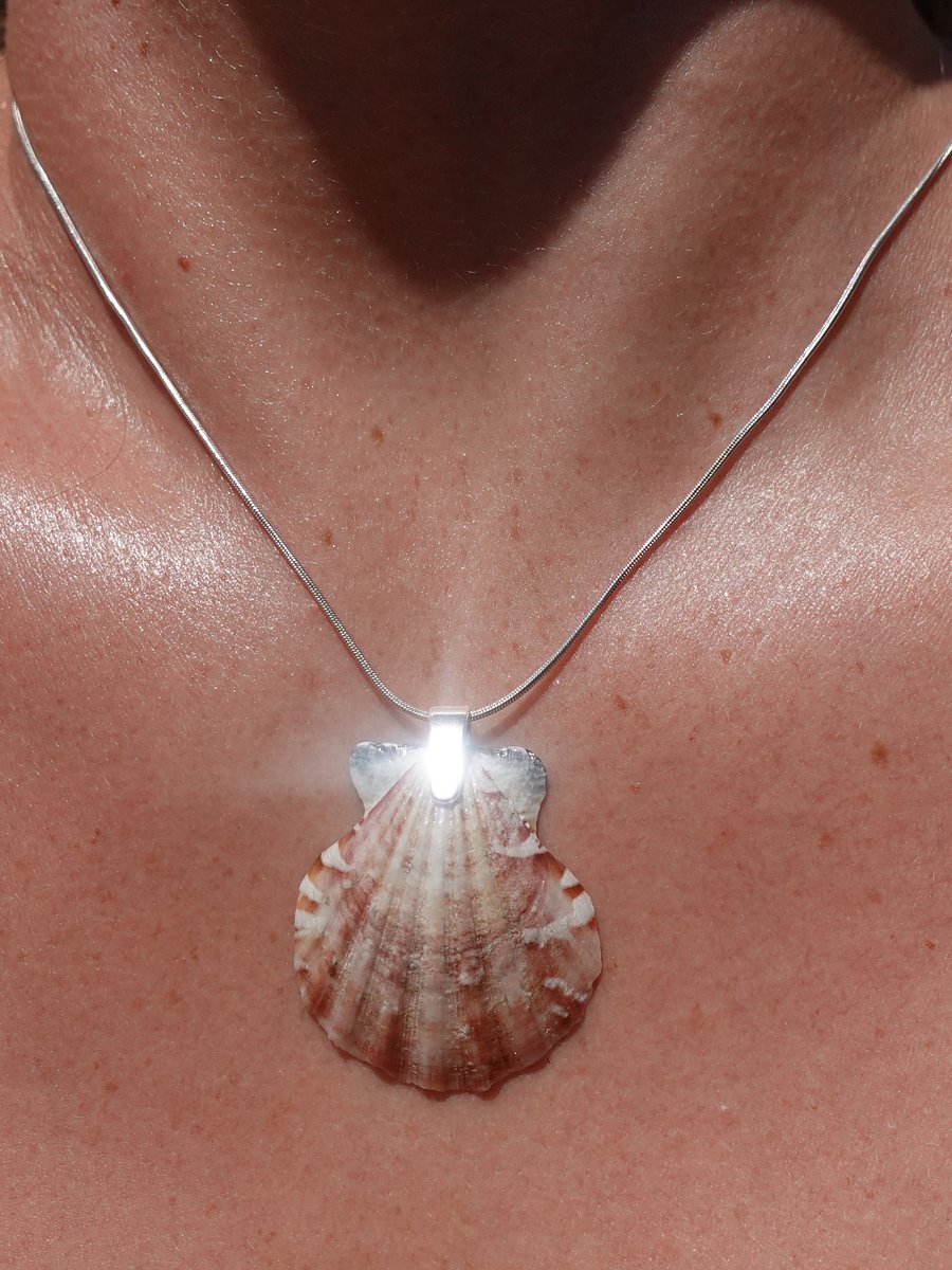 Mermaid Wish Necklace ~ 2 product image (1)
