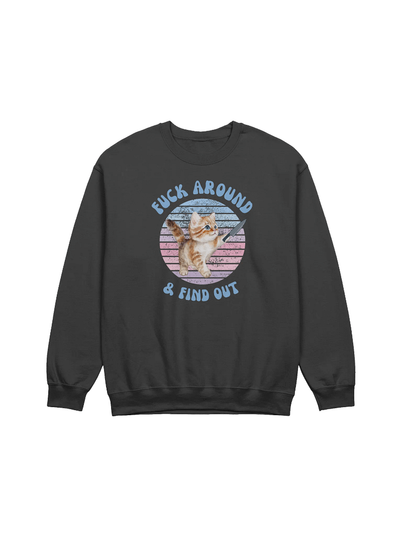 Fuck Around And Find Out Sweatshirt