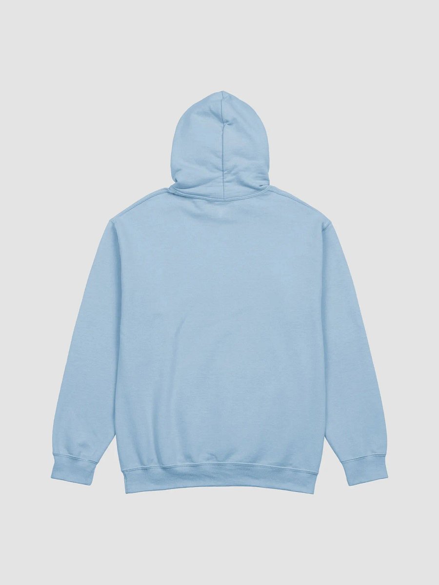 Rainbow Vom Hoodie - Apothicdecay product image (38)