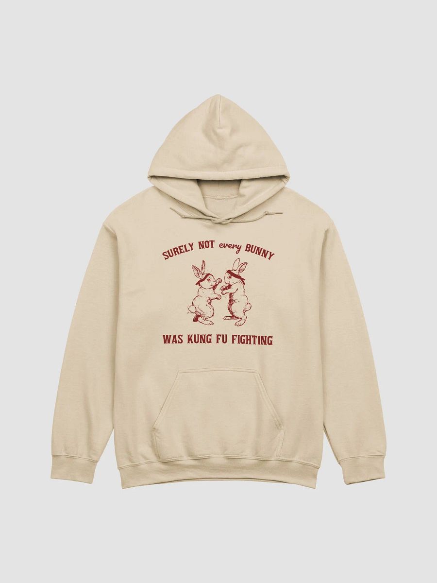 Surely not every bunny was kung fu fighting Hoodie product image (1)