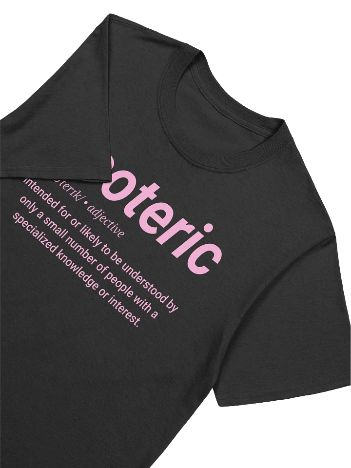 Esoteric Definition Tee (pink) product image (2)