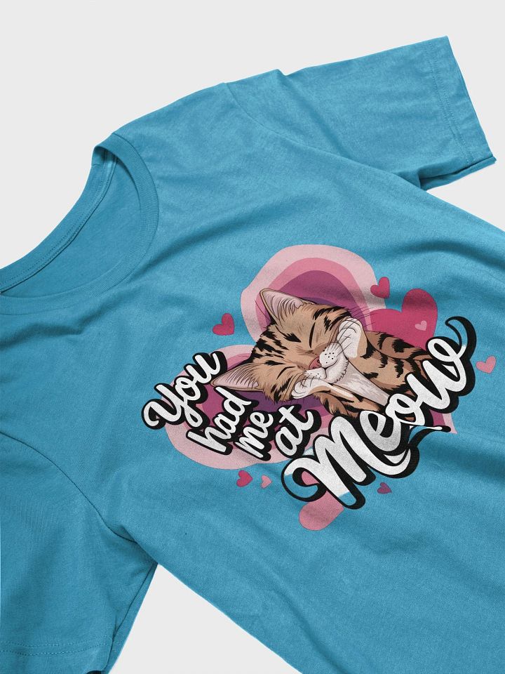 You Had Me at Meow – Cute Valentine Cat T-Shirt for Cat Lovers product image (2)
