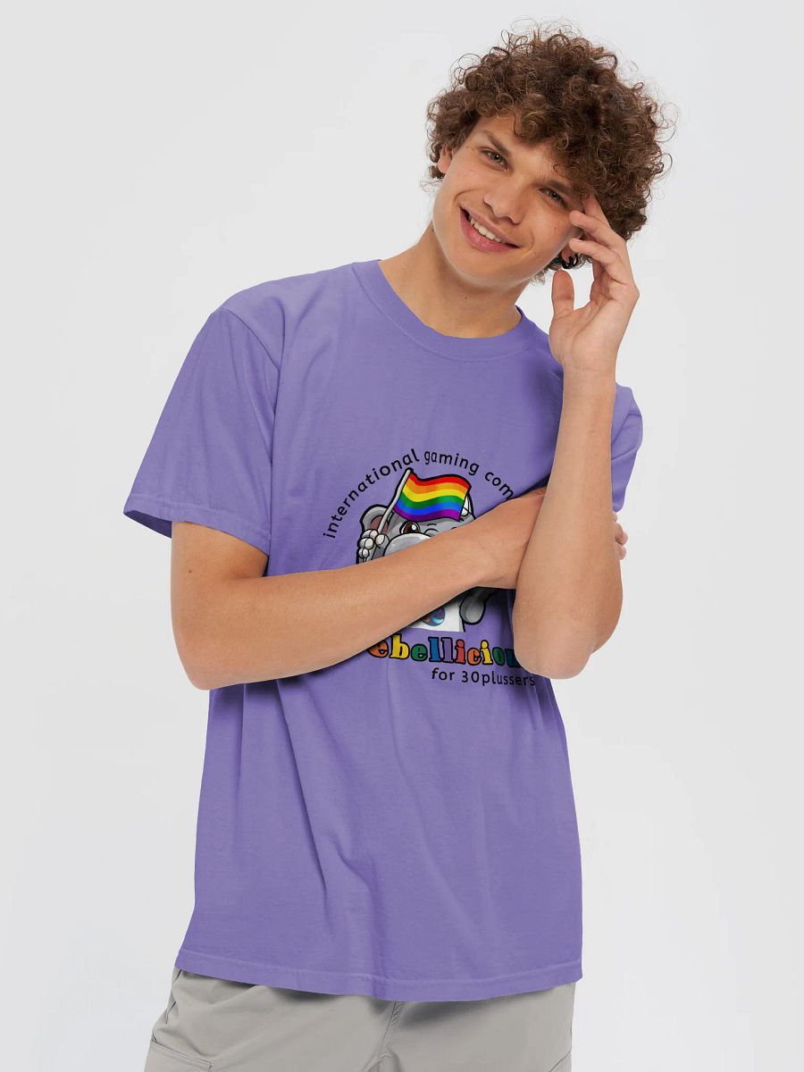Comfort Colors Pride T-shirt product image (3)