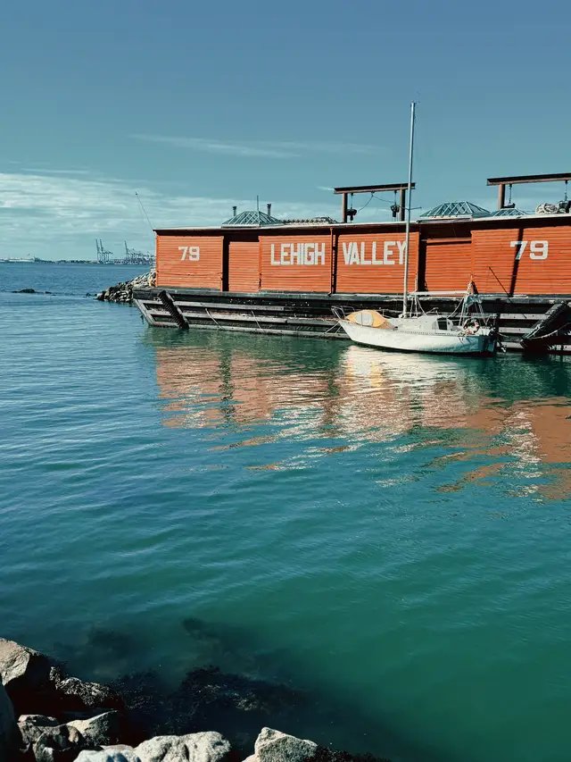 Always remember to let the small things go  #water #boat #nyc #fyp 