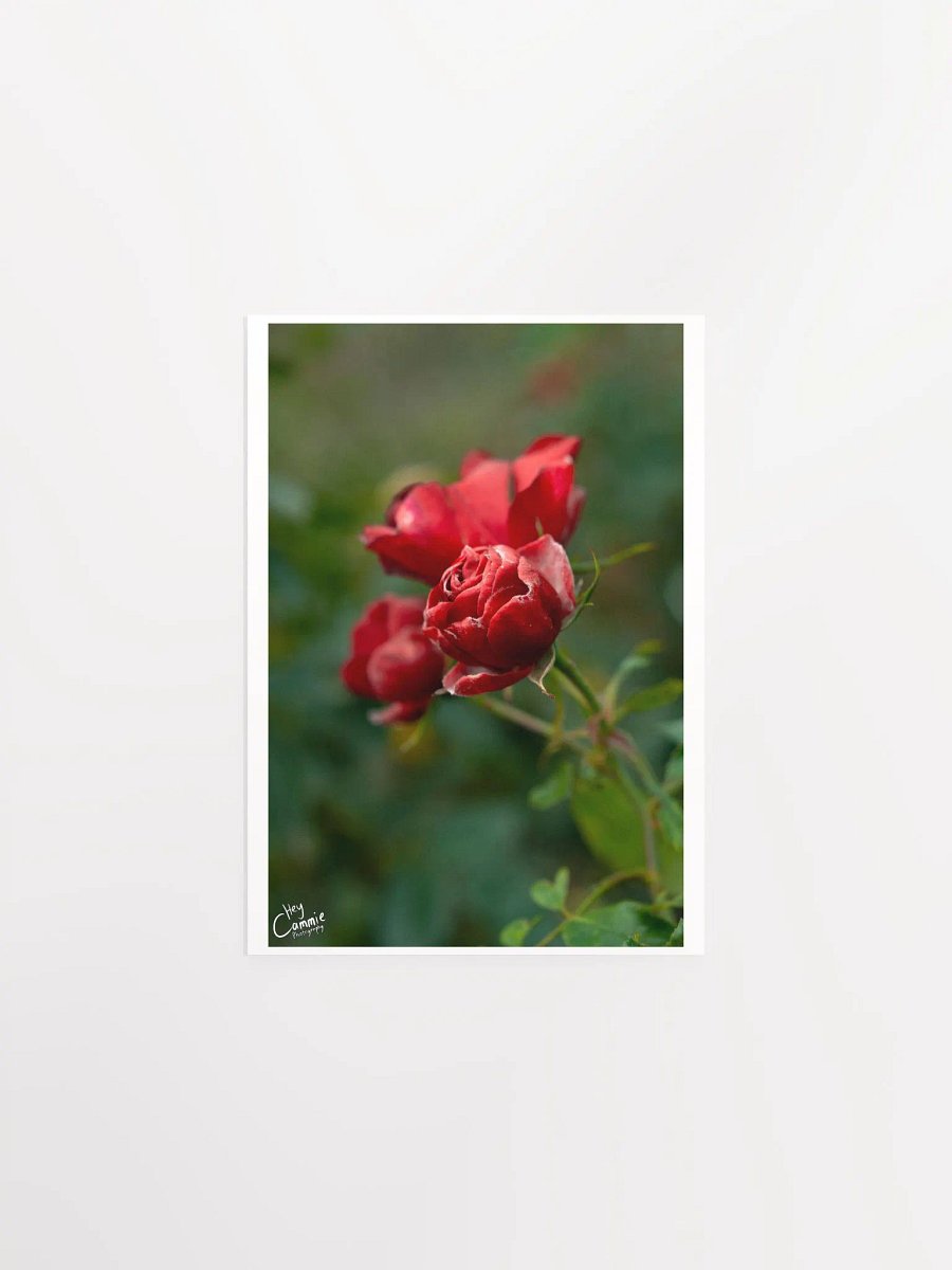 Red Like Roses - Print product image (1)