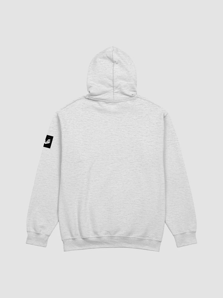 International Movement Hoodie - Light Gray product image (2)
