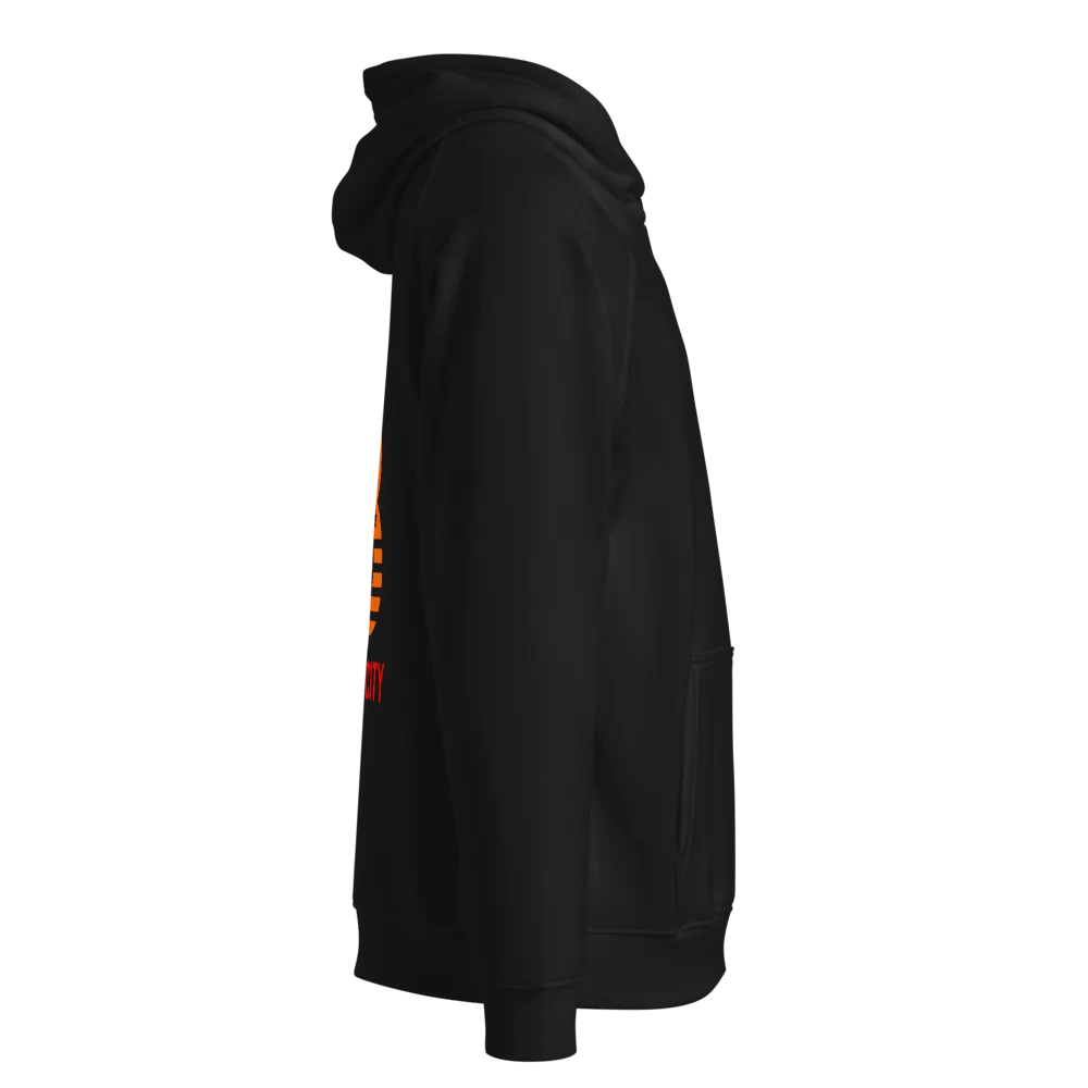 Brooklyn 53 Eco Raglan Hoodie product image (4)