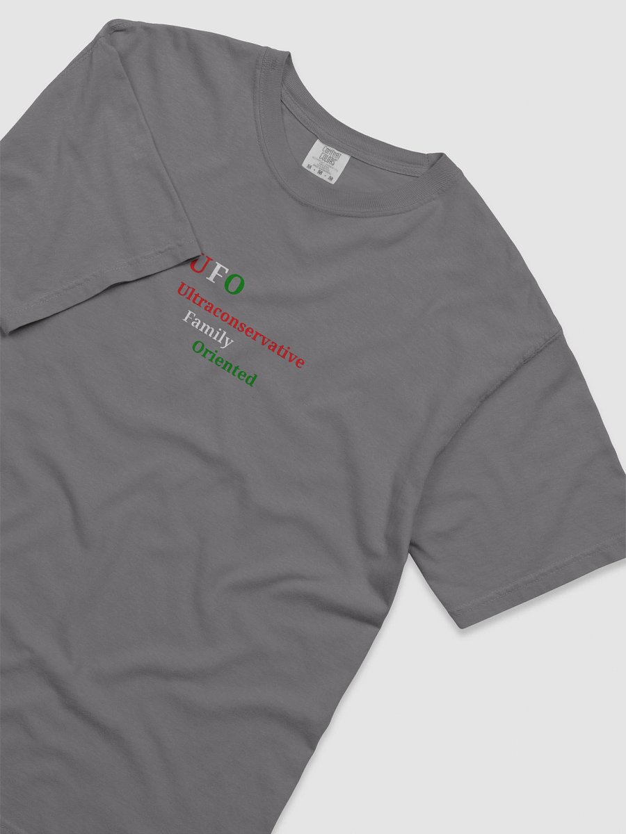 UFO Ultraconservative Family Oriented Men's Tee product image (5)