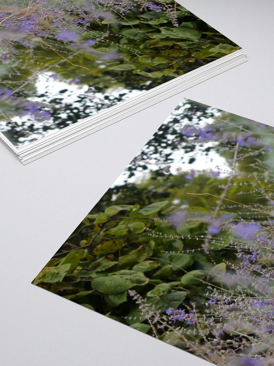 A Study in Flowers 16 - sticker version product image (12)