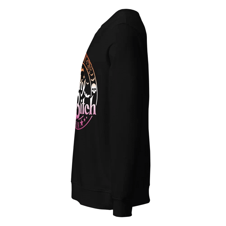 Spooky Bitch Era Lesbian Flag Organic Sweatshirt product image (2)