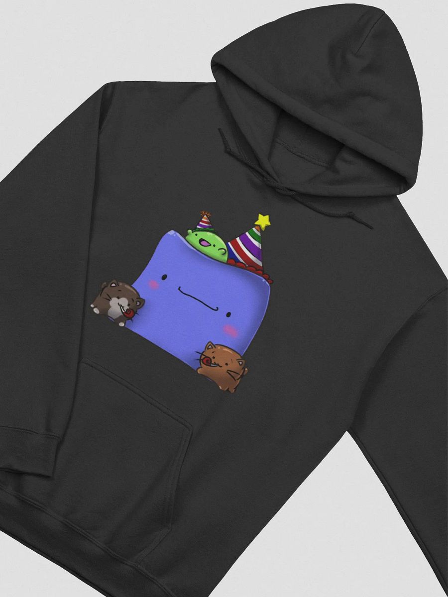 Bigsquish Birthday Hoodie! product image (32)