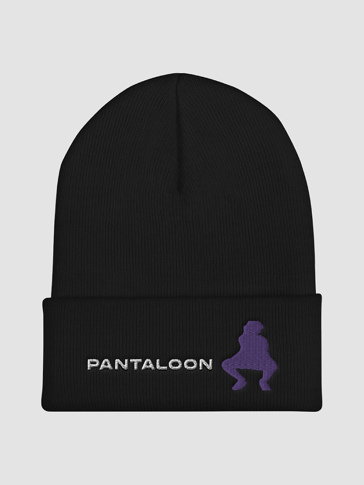 Pantaloon Beanie product image (2)